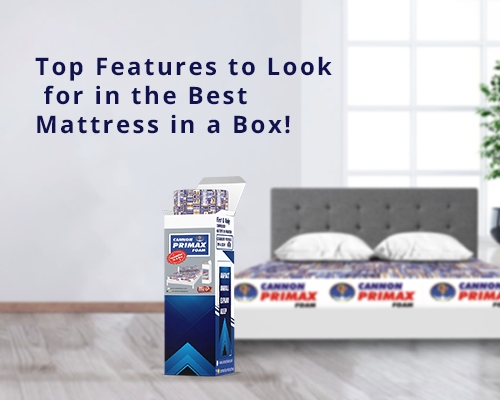 Top Features to Look for in the Best Mattress in a Box